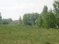 Тулія з panoramio.com