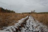 Метьолкіне з panoramio.com