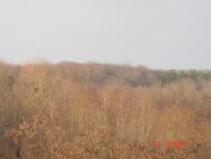 Побірка - Останні фото