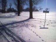 Рогізне з panoramio.com