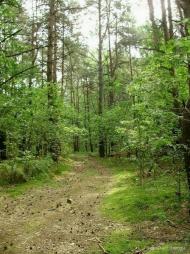 Крать з panoramio.com