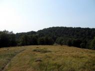 Вучкове з panoramio.com