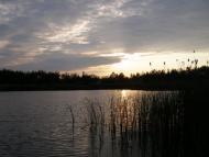 Великі Кошарища з panoramio.com