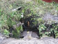 Прудянка з panoramio.com