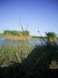 Руськоіванівка з panoramio.com