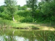 Березівка з panoramio.com