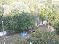 Панютине з panoramio.com