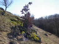 Корсунка з panoramio.com