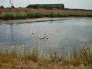 Єлизаветпілля з panoramio.com