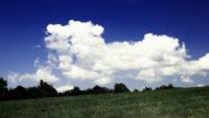 Забрідь з panoramio.com - Забродь