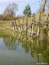 Ліски з panoramio.com