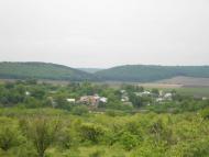 Паївка з panoramio.com