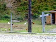 Водиця з panoramio.com