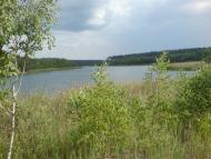 Великі Кошарища з panoramio.com