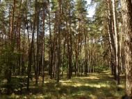 Коробівка з panoramio.com