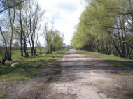Лихачів з panoramio.com