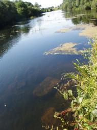 Івашківка з panoramio.com