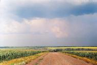 Рожеве з panoramio.com