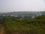 Борова з panoramio.com