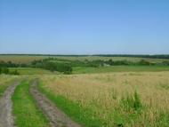 Tsapivka - Latest photos