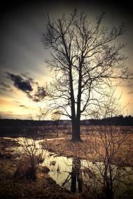 Клавдієво-Тарасове з panoramio.com