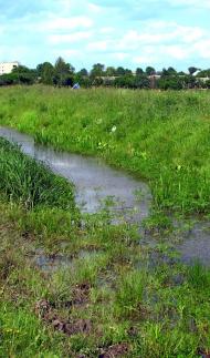 Дубровиця з panoramio.com