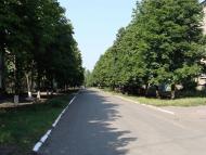 Білицьке з panoramio.com