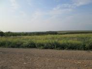 Єлизаветівка з panoramio.com