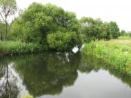 Карповичі з panoramio.com