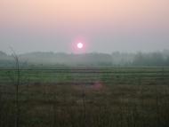 Лісове з panoramio.com