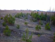 Льгів з panoramio.com