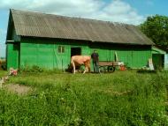 Негівці з panoramio.com