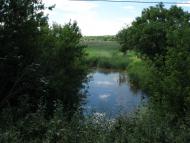 Зелене з panoramio.com