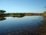 Миколаївка Друга - Останні фото