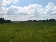 Бохни з panoramio.com