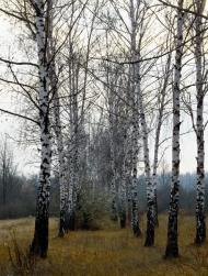 Червоні Поди з panoramio.com