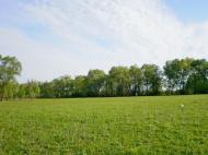 Лихачів з panoramio.com