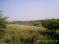 Мартинівка з panoramio.com