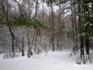 Луч з panoramio.com