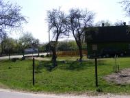 Красний Бір з panoramio.com