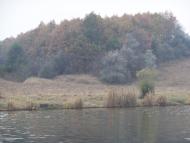 Сорокодуби з panoramio.com