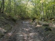 Лісне з panoramio.com