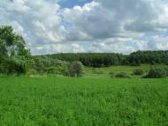 Семереньки з panoramio.com