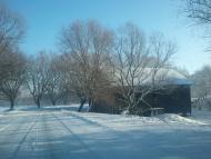 Саранчуки з panoramio.com