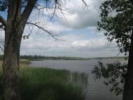 Зелене з panoramio.com