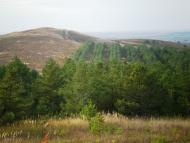 Бучина - Останні фото