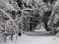 Завій з panoramio.com