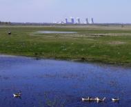 Маюничі з panoramio.com