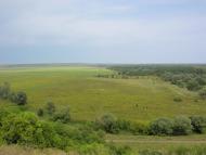 Протопоповка - Последние фото