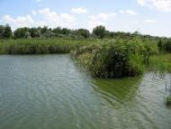 Широчани з panoramio.com